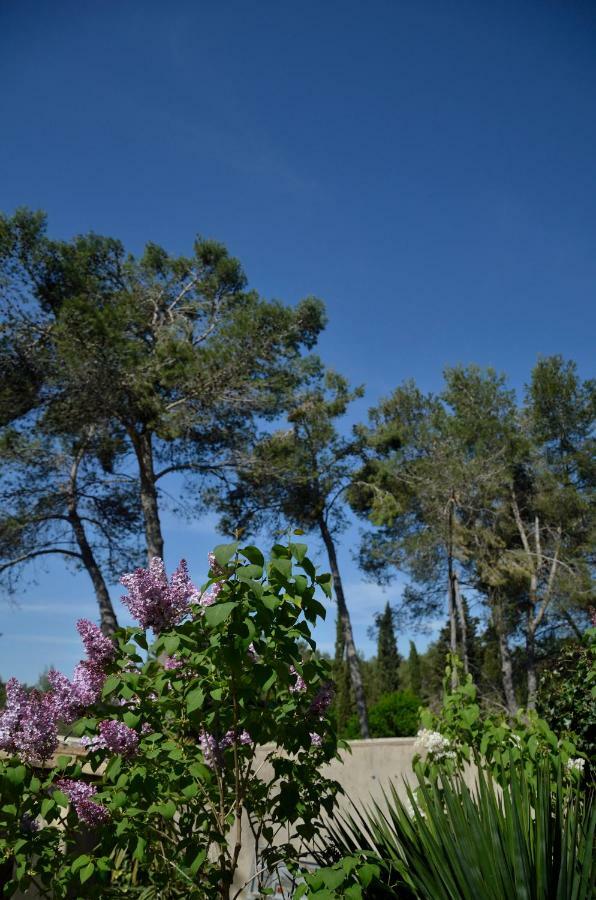Mas Du Puech Clapas Villa Assas Exterior photo